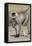 Black-faced langurs, India-Art Wolfe Wolfe-Framed Premier Image Canvas