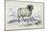 Black Faced Ram, Mid 19th Century-William Home Lizars-Mounted Giclee Print