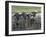 Black Faced Sheep Looking Through Gate on the Cotswold Way, Stanway Village, the Cotswolds, England-David Hughes-Framed Photographic Print