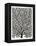 Black Fan Coral-Cat Coquillette-Framed Premier Image Canvas