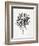 Black Fan Palm-Cat Coquillette-Framed Art Print