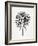 Black Fan Palm-Cat Coquillette-Framed Art Print