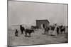 Black Farmers In Oklahoma-George F. Gibbs-Mounted Art Print