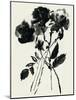 Black Flora-Maya Woods-Mounted Art Print