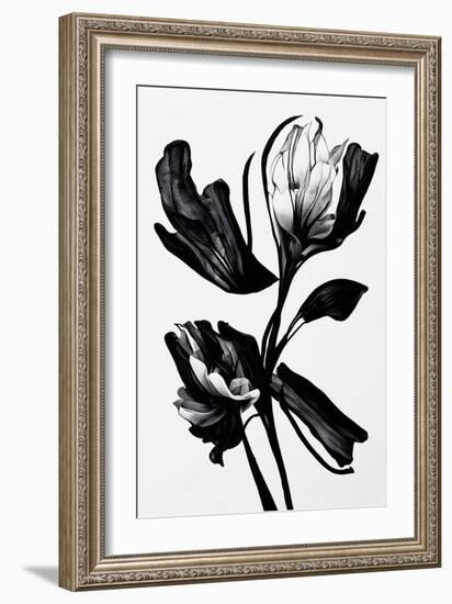 Black Flower-null-Framed Giclee Print