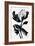 Black Flower-null-Framed Giclee Print