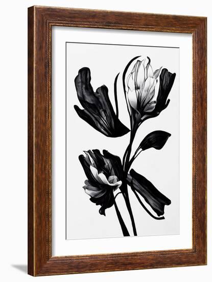 Black Flower-null-Framed Giclee Print