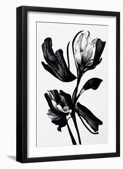Black Flower-null-Framed Giclee Print