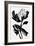 Black Flower-null-Framed Giclee Print