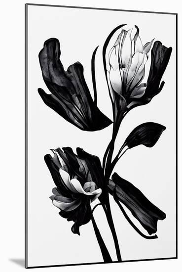 Black Flower-null-Mounted Giclee Print