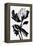 Black Flower-null-Framed Premier Image Canvas