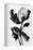 Black Flower-null-Framed Premier Image Canvas