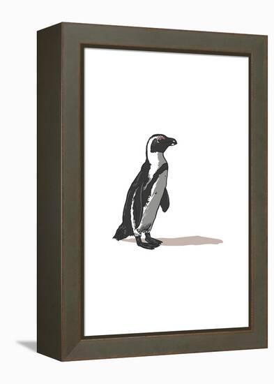 Black-Footed Penguin - Icon-Lantern Press-Framed Stretched Canvas