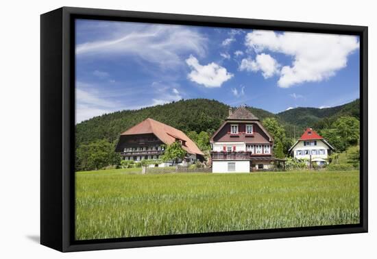 Black Forest Houses, Gutachtal Valley, Black Forest, Baden Wurttemberg, Germany, Europe-Markus Lange-Framed Premier Image Canvas