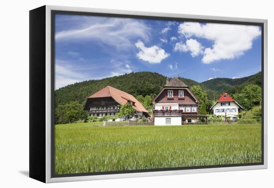 Black Forest Houses, Gutachtal Valley, Black Forest, Baden Wurttemberg, Germany, Europe-Markus Lange-Framed Premier Image Canvas