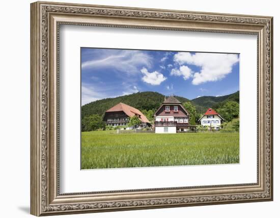 Black Forest Houses, Gutachtal Valley, Black Forest, Baden Wurttemberg, Germany, Europe-Markus Lange-Framed Photographic Print