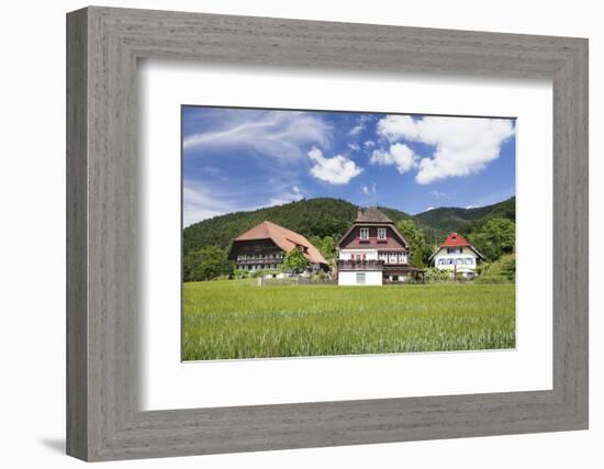 Black Forest Houses, Gutachtal Valley, Black Forest, Baden Wurttemberg, Germany, Europe-Markus Lange-Framed Photographic Print