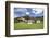 Black Forest Houses, Gutachtal Valley, Black Forest, Baden Wurttemberg, Germany, Europe-Markus Lange-Framed Photographic Print