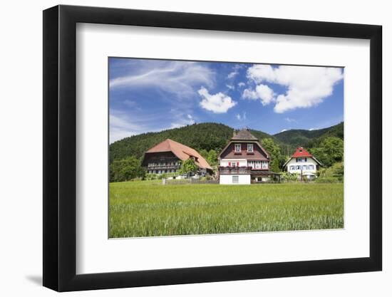 Black Forest Houses, Gutachtal Valley, Black Forest, Baden Wurttemberg, Germany, Europe-Markus Lange-Framed Photographic Print