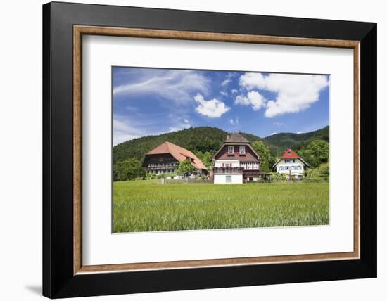 Black Forest Houses, Gutachtal Valley, Black Forest, Baden Wurttemberg, Germany, Europe-Markus Lange-Framed Photographic Print