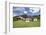 Black Forest Houses, Gutachtal Valley, Black Forest, Baden Wurttemberg, Germany, Europe-Markus Lange-Framed Photographic Print