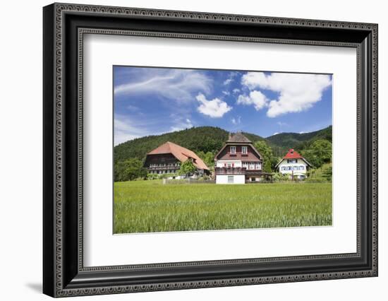 Black Forest Houses, Gutachtal Valley, Black Forest, Baden Wurttemberg, Germany, Europe-Markus Lange-Framed Photographic Print