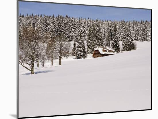 Black Forest in Winter, Near Schoenwald, Baden-Wurttemberg, Germany, Europe-Jochen Schlenker-Mounted Photographic Print