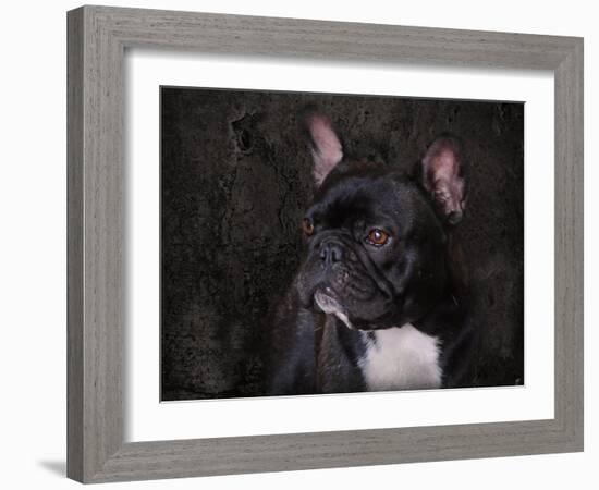 Black French Bulldog Portrait-Jai Johnson-Framed Giclee Print