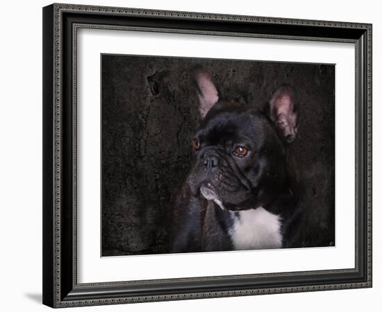 Black French Bulldog Portrait-Jai Johnson-Framed Giclee Print