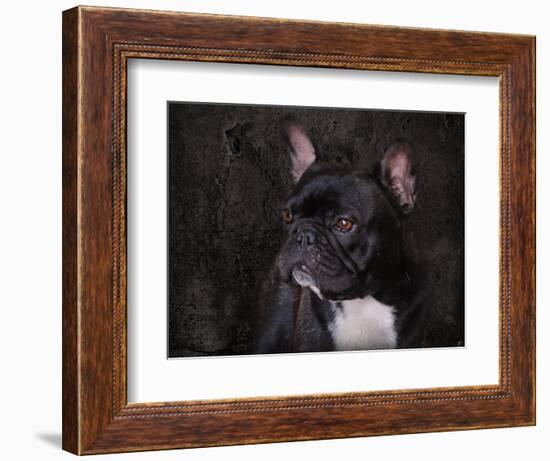 Black French Bulldog Portrait-Jai Johnson-Framed Giclee Print