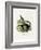 Black Giant Squirrel-null-Framed Giclee Print