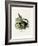 Black Giant Squirrel-null-Framed Giclee Print