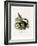 Black Giant Squirrel-null-Framed Giclee Print