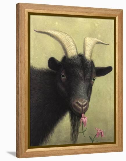 Black Goat Enjoying a Pink Flower-W Johnson James-Framed Premier Image Canvas