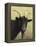 Black Goat Enjoying a Pink Flower-W Johnson James-Framed Premier Image Canvas