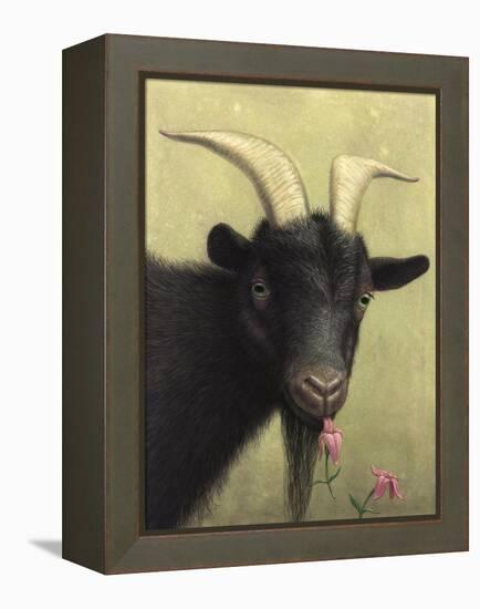 Black Goat Enjoying a Pink Flower-W Johnson James-Framed Premier Image Canvas