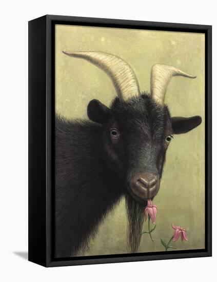 Black Goat Enjoying a Pink Flower-W Johnson James-Framed Premier Image Canvas