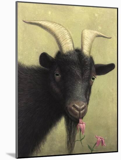 Black Goat Enjoying a Pink Flower-W Johnson James-Mounted Giclee Print
