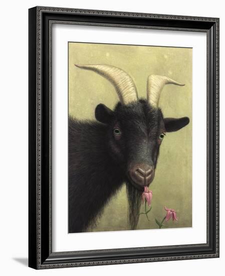 Black Goat Enjoying a Pink Flower-W Johnson James-Framed Giclee Print