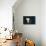 Black Gold Elephants 1-Sarah Manovski-Premium Giclee Print displayed on a wall