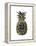 Black Gold Pineapple-Amanda Greenwood-Framed Stretched Canvas