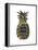 Black Gold Pineapple-Amanda Greenwood-Framed Stretched Canvas