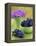 Black Grapes in a Bowl-Vladimir Shulevsky-Framed Premier Image Canvas