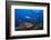 Black grouper and Caribbean Reef Shark, Jardines de la Reina National Park, Caribbean Sea, Cuba-Claudio Contreras-Framed Photographic Print