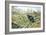 Black Grouse on a Moor-Carl Donner-Framed Giclee Print