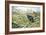 Black Grouse on a Moor-Carl Donner-Framed Giclee Print