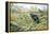 Black Grouse on a Moor-Carl Donner-Framed Premier Image Canvas