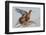 Black Grouse (Tetrao tetrix) females in tree in winter, Tver, Russia. April-Sergey Gorshkov-Framed Photographic Print