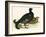 Black Grouse-Beverley R. Morris-Framed Giclee Print