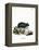 Black Hamster-null-Framed Premier Image Canvas